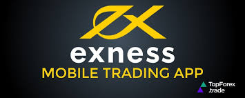 Understanding the Market How Much is Exness Spread