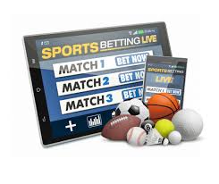 Discover the Exciting World of BetWinner Your Ultimate Guide