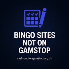Experience the Thrill of Online Bingo Not on GamStop -723186699